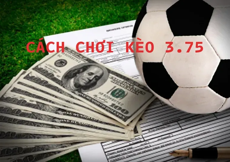 Bí Quyết Chinh Phục Kèo 3.75 Tại BongDaLu Cho Các Chuyên Gia Tài Xỉu