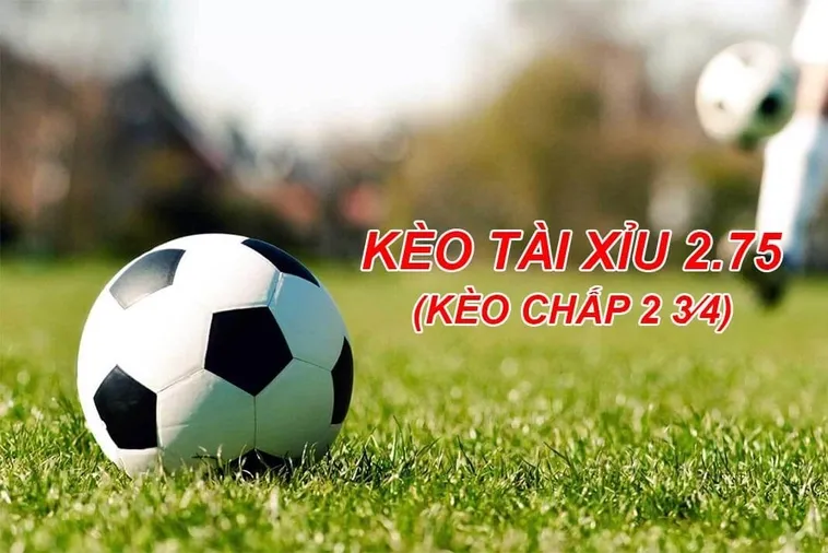 Phân Tích Chuyên Sâu Kèo 2.75 Tại BongDaLu Để Tối Ưu Hóa Chiến Thuật Tài Xỉu