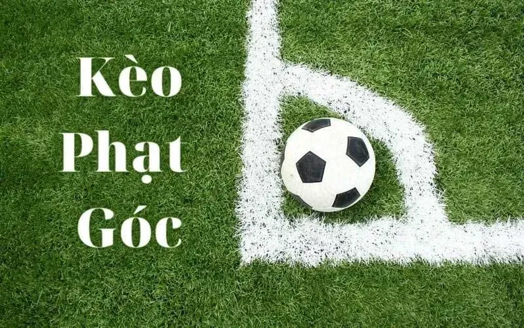 Kèo Phạt Góc Bóng Đá Tại BongDaLu Bí Quyết Phân Tích Dữ Liệu Và Chiến Thuật Thắng Lớn