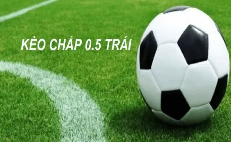 Phân Tích Chuyên Gia Về Kèo Chấp 0.5 Tại BongDaLu Để Nâng Cao Tỷ Lệ Thắng