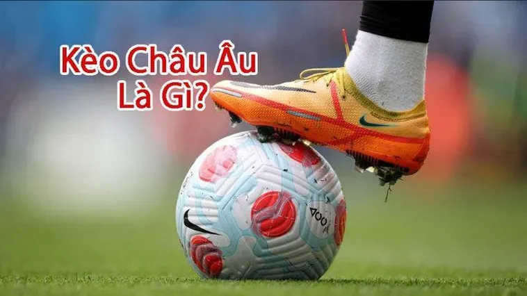 Phương Pháp Đọc Vị Kèo Châu Âu Tại BongDaLu Để Tăng Tỷ Lệ Chiến Thắng