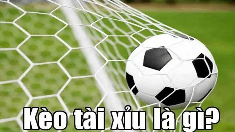 Kèo Tài Xỉu Bóng Đá Tại BongDaLu Phân Tích Xu Hướng Bàn Thắng Và Kỹ Thuật Soi Kèo