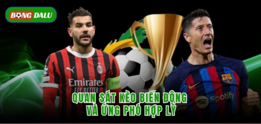 BongDaLu - Khám Phá Nền Tảng Dữ Liệu Thể Thao Siêu Tốc, Uy Tín